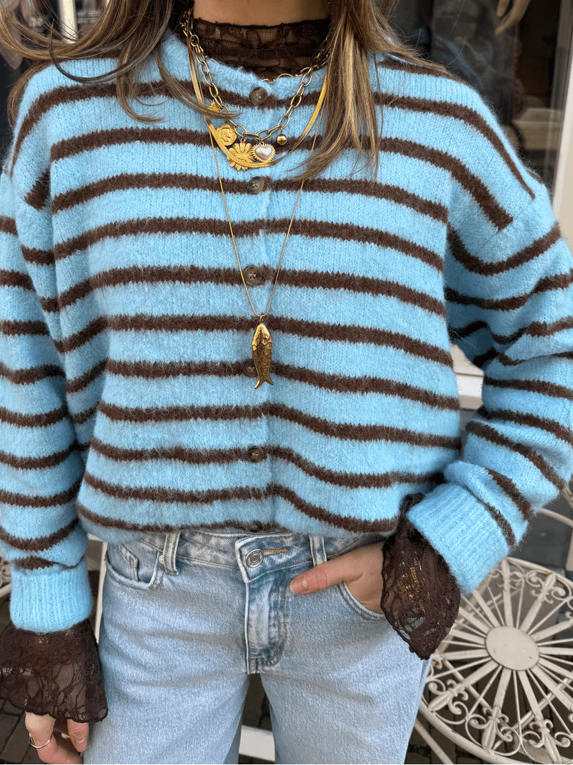 Gigi cardigan blue/brown striped - Project 35