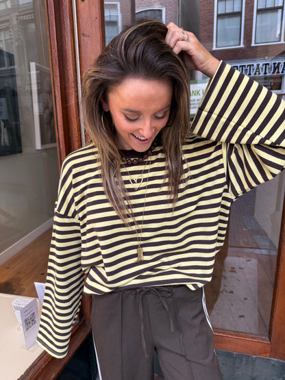 Demi longsleeve brown/yellow