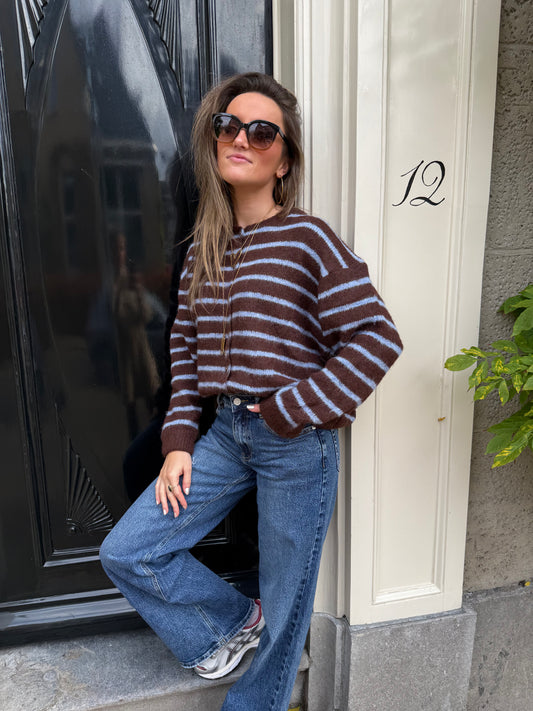 Gigi cardigan brown/blue striped