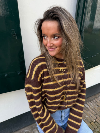 Gigi cardigan brown/yellow striped