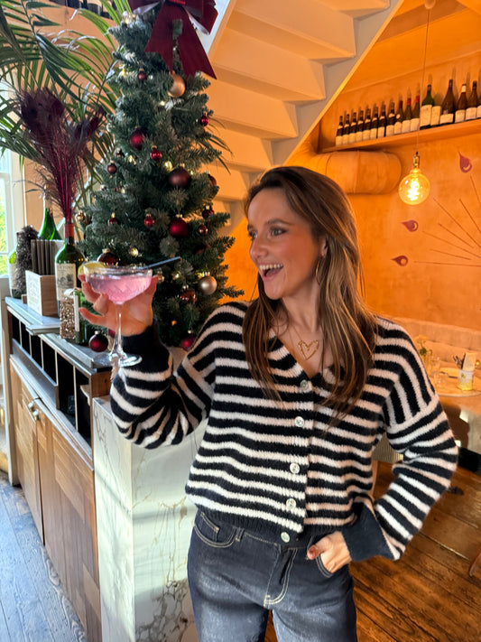 Lucy cardigan navy/white striped