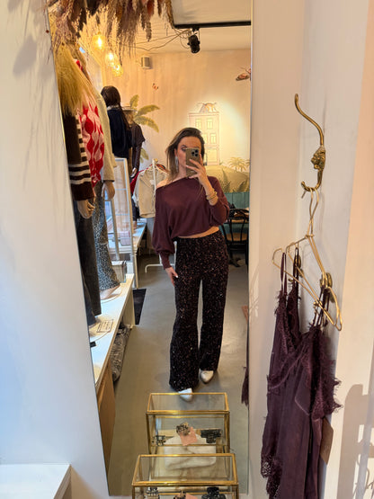 Sequin glitter pants brown