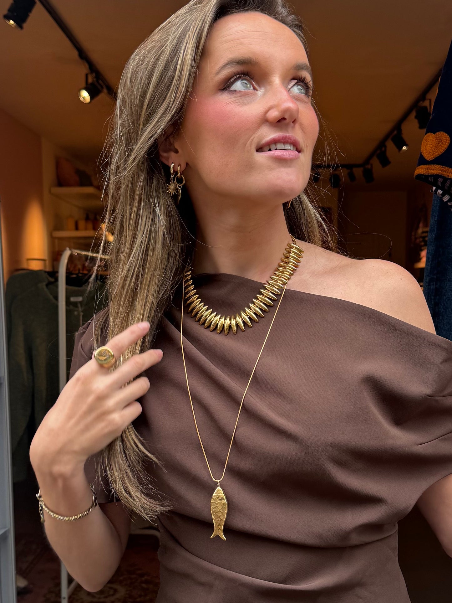 Vis ketting lang goud
