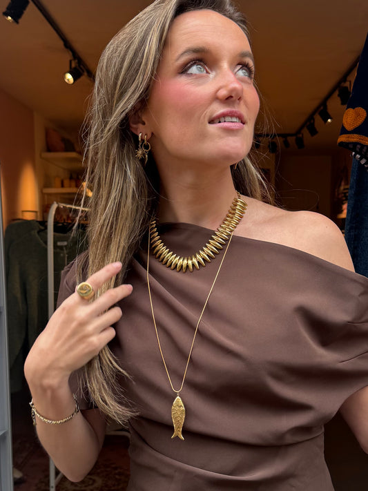 Vis ketting lang goud