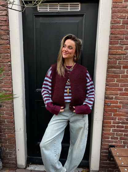 Pippa gestreepte trui blauw/bordeaux