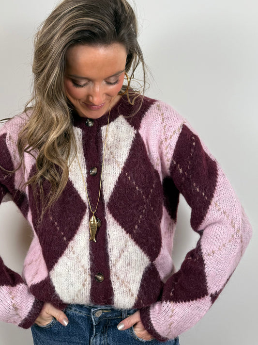 Lou vest geruit bordeaux/roze