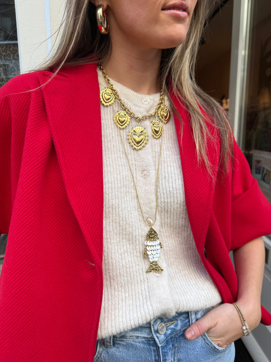 Vis ketting lang goud special