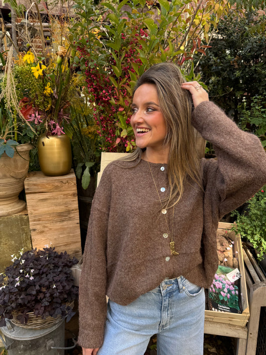 Gigi cardigan brown