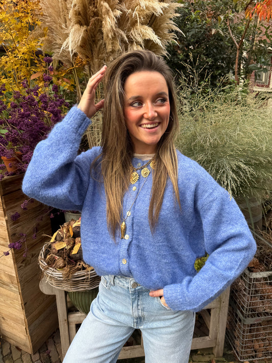 Gigi cardigan cobalt blue - Project 35
