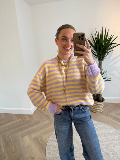 Gigi cardigan striped yellow/purple