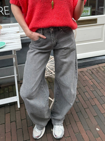 Alix ballon jeans baggy grijs - Project 35