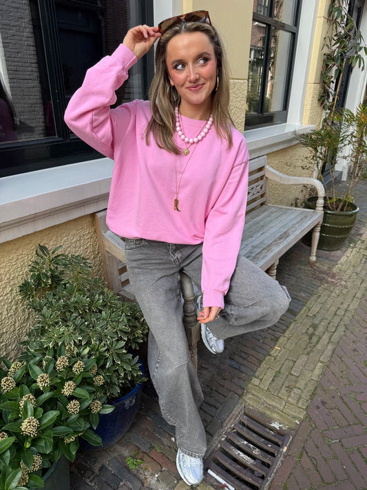 Cato sweater lichtroze - Project 35