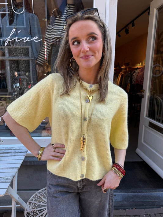 Levi vest knoopjes - Project 35