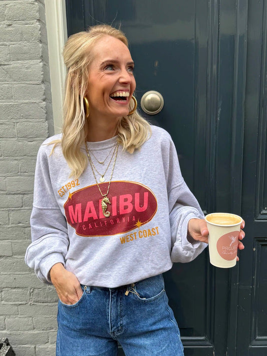 Malibu sweater grijs - Project 35