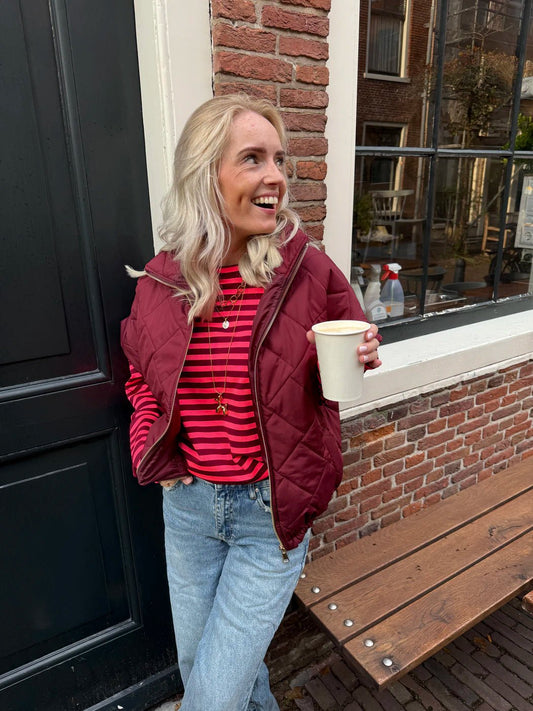 Roos gestreepte longsleeve bright pink/burgundy - Project 35